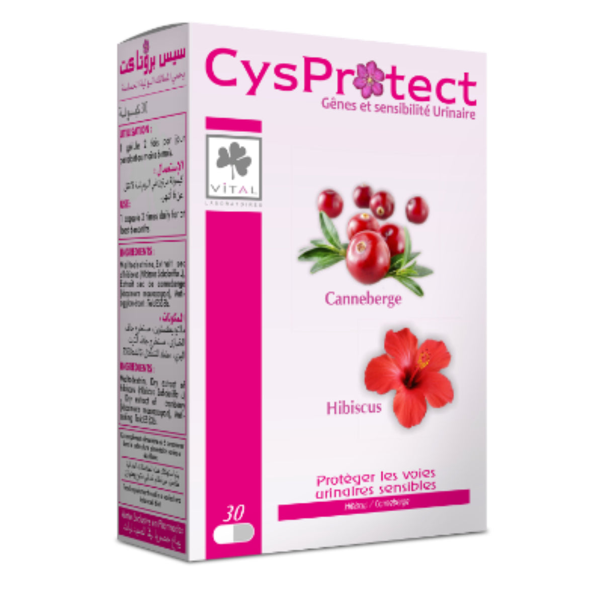 CYSPROTECT